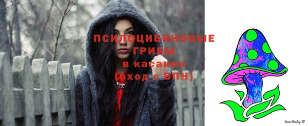 стаф Баксан