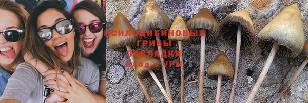 стаф Баксан