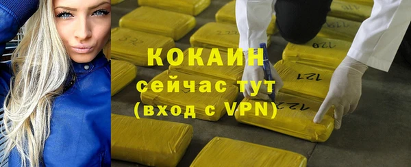 стаф Баксан