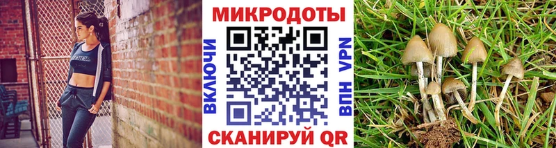 Галлюциногенные грибы прущие грибы  Щёкино 